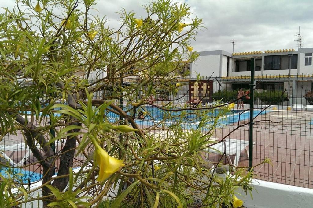 Apartamento Drago Διαμέρισμα Costa Del Silencio Εξωτερικό φωτογραφία